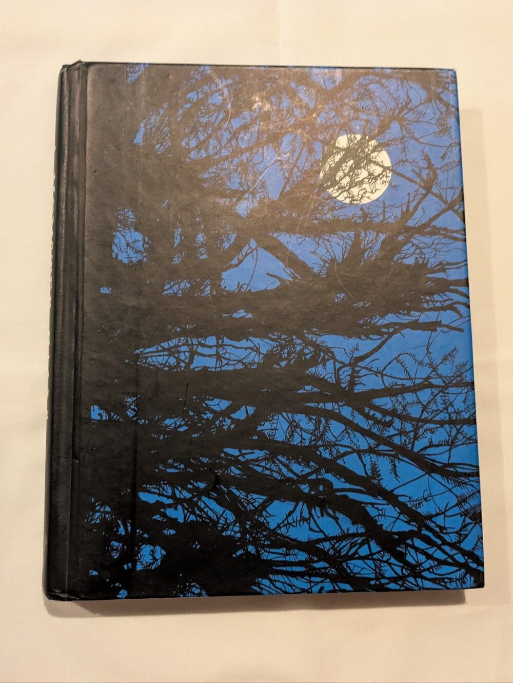 Monster Calls by Patrick Ness,